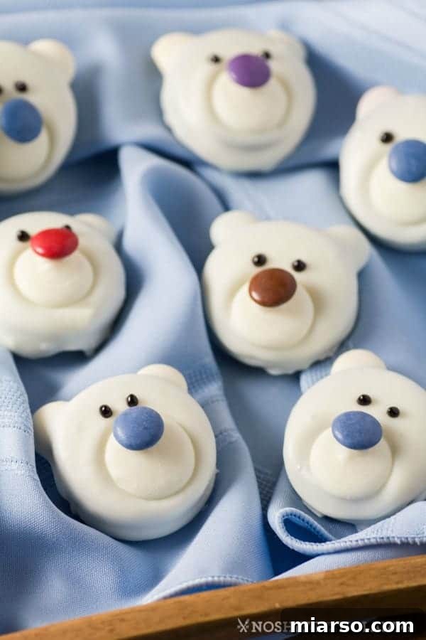 Cute bear