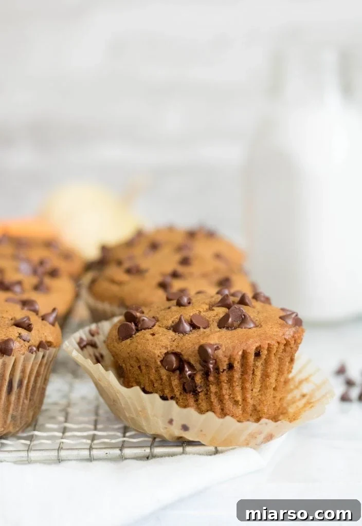 Close-up of a perfectly baked pumpkin chocolate chip muffin with a bottle of milk in the soft-focus background, highlighting its moist texture and abundant chocolate chips.