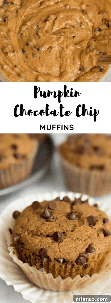 Long Pinterest pin image featuring a stack of delicious pumpkin chocolate chip muffins with a recipe title overlay.
