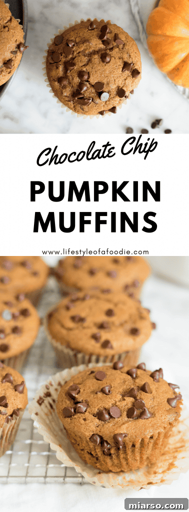 Another vertical Pinterest pin design for pumpkin chocolate chip muffins, highlighting their moist texture and fall flavors.