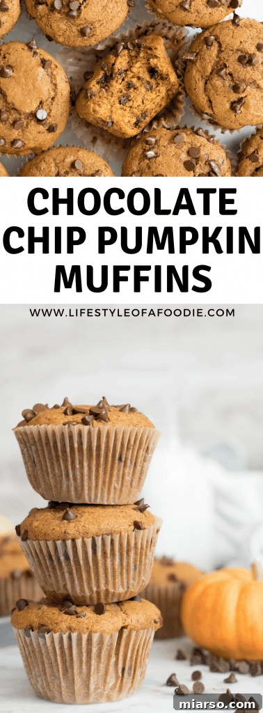 A third Pinterest graphic showcasing homemade pumpkin chocolate chip muffins, perfect for fall baking inspiration.