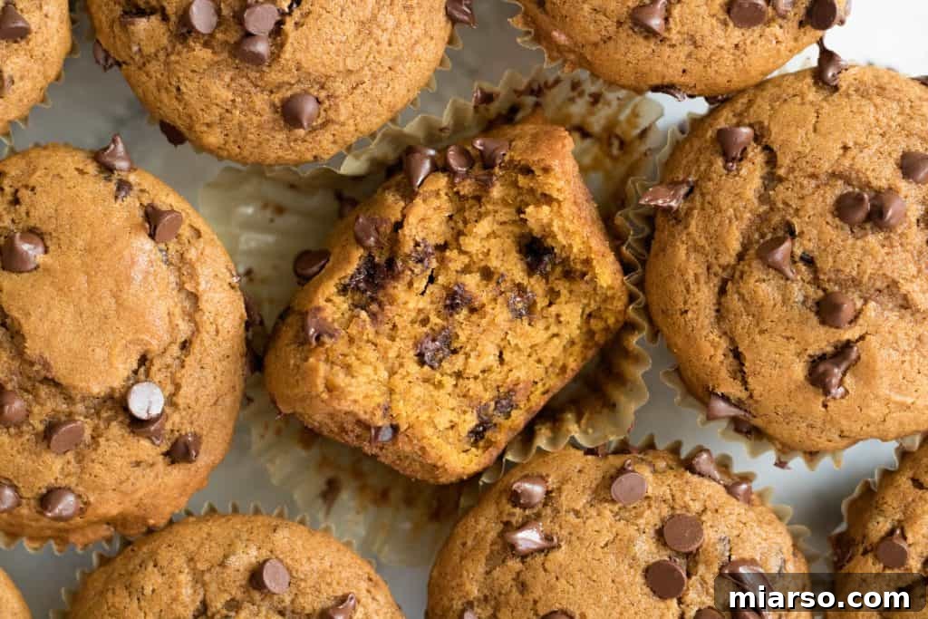 Overhead shot of pumpkin chocolate chip muffins arranged beautifully on a cooling rack, with one muffin clearly showing a bite taken out of it, revealing its moist interior.