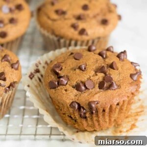 Delicious homemade Pumpkin Chocolate Chip muffins with visible chocolate chunks.