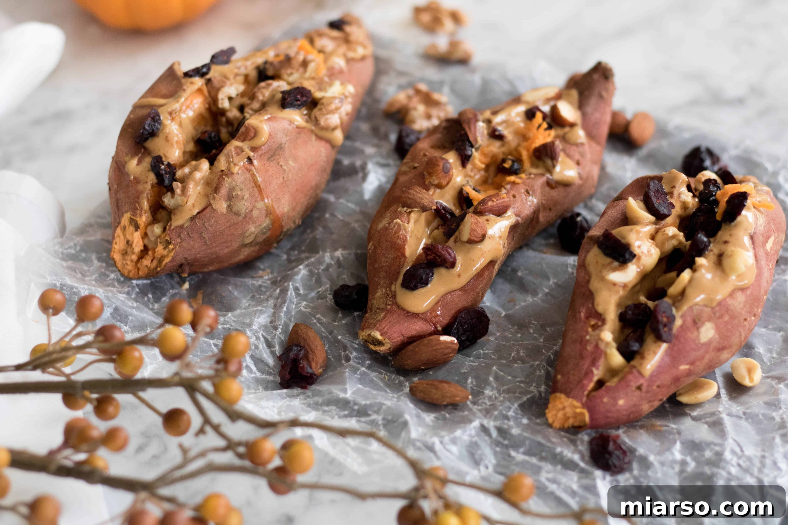 A vibrant close-up of a stuffed sweet potato breakfast, featuring melted peanut butter, crunchy nuts, and colorful cranberries.