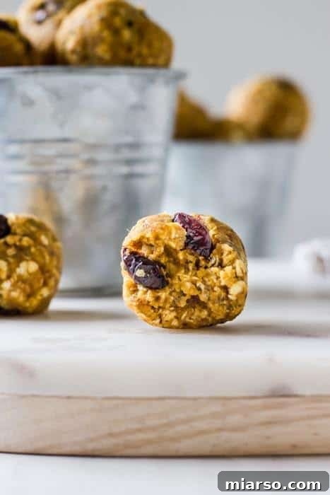 Cranberry pumpkin vegan cheese cake balls