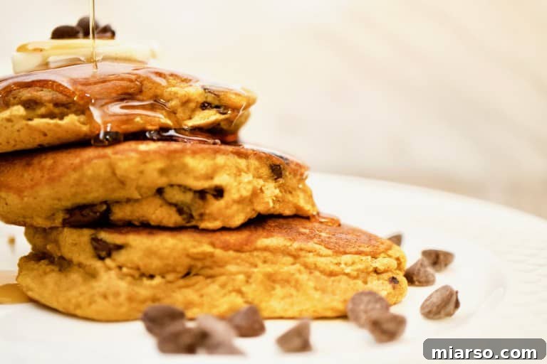Vegan Pumpkin Recipe with chocolate chips and butter