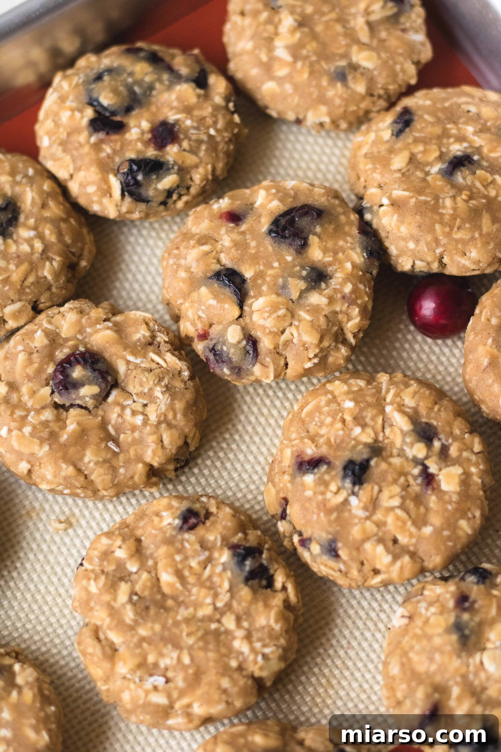 Unbaked cranberry oatmeal cookie dough, ready for the oven on a baking sheet