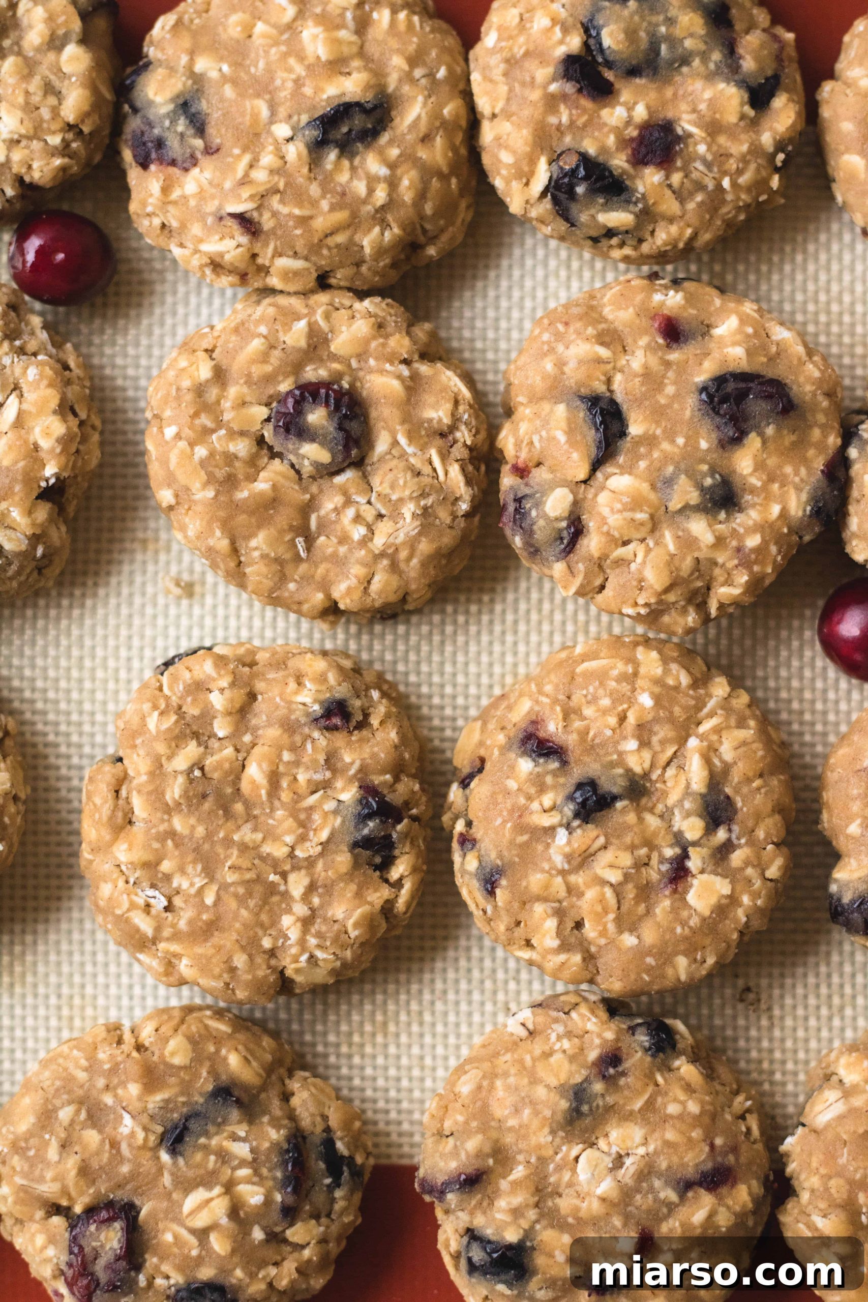 Close-up of a bowl filled with raw oatmeal and cranberries, ready for mixing into cookie dough
