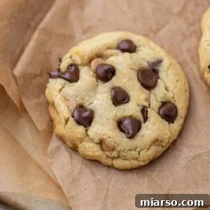 Overhead shot of small batch chocolate chip cookie