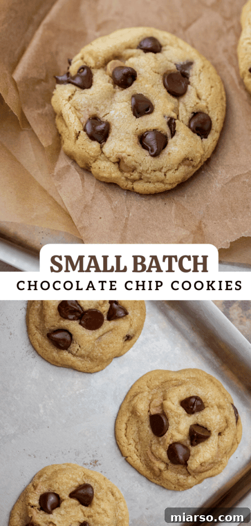 Another Pinterest collage showcasing delicious small batch chocolate chip cookies.