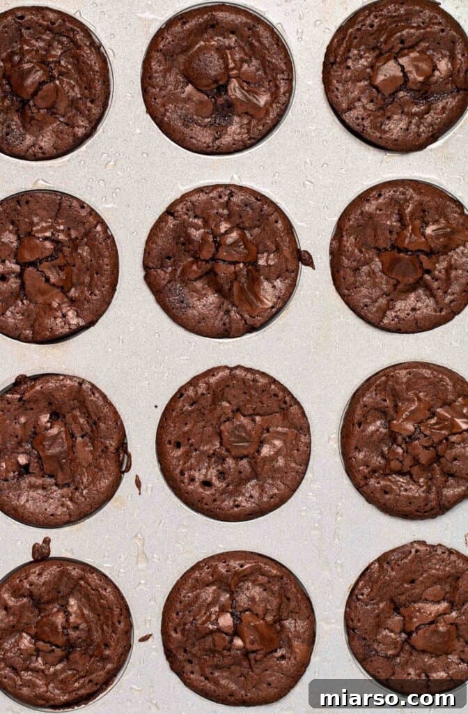 Touchdown Fudgy Brownie Bites 10 Freshly baked brownie bites, golden and fudgy