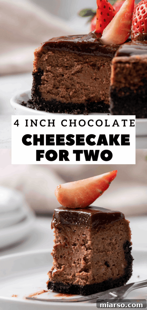 Mini Chocolate Cheesecakes Pure Creamy Indulgence 21 4 inch chocolate cheesecake mini recipe