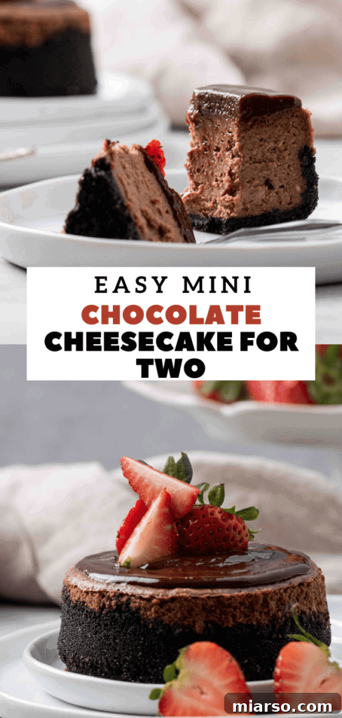 Mini Chocolate Cheesecakes Pure Creamy Indulgence 22 4 inch chocolate cheesecake mini recipe