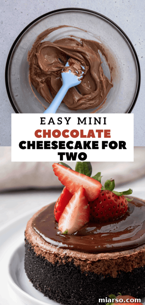 Mini Chocolate Cheesecakes Pure Creamy Indulgence 23 small batch chocolate cheesecake recipe