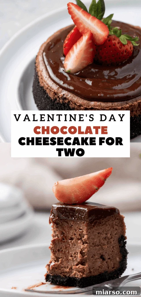 Mini Chocolate Cheesecakes Pure Creamy Indulgence 24 Creamy chocolate cheesecake for two