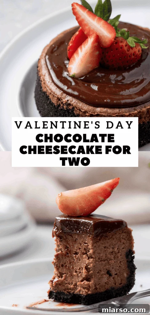 Mini Chocolate Cheesecakes Pure Creamy Indulgence 25 Creamy chocolate cheesecake for two