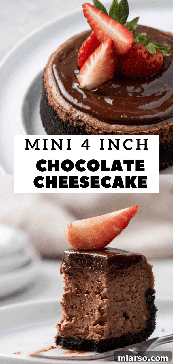 Mini Chocolate Cheesecakes Pure Creamy Indulgence 26 img 52126 26
