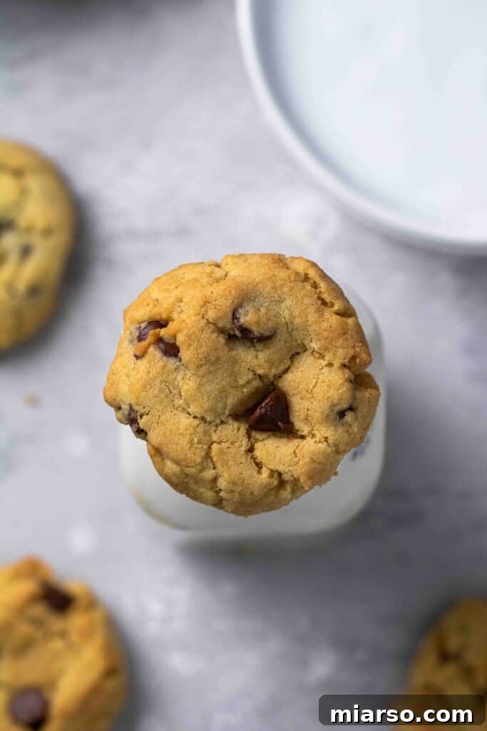 Overhead shot of air fryer chocolate chip cookies