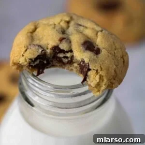 Close up of chocolate chip cookie on a milk bottle