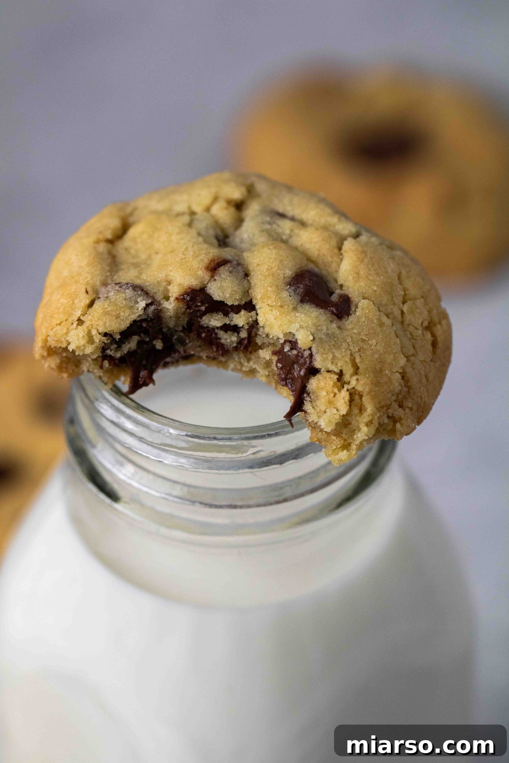 Close up of chocolate chip cookie on a milk bottle