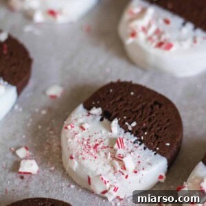 Gourmet Chocolate Peppermint Crunch Logs 13 candy cane chocolate cookies