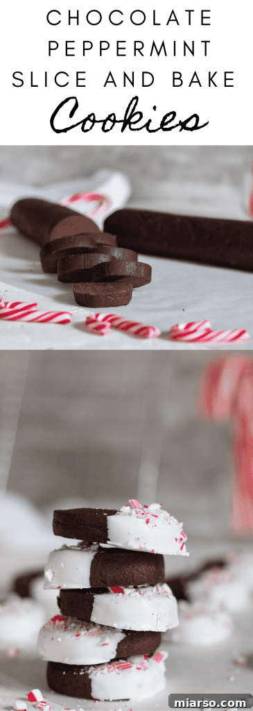 Gourmet Chocolate Peppermint Crunch Logs 16 A Pinterest-friendly image for Chocolate Peppermint Crunch Slice and Bake Cookies, with text overlay