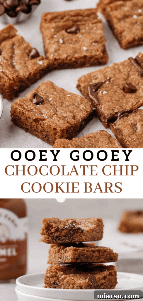 Sweet Tomatoes' Homestyle Chocolate Chip Bars 12 Classic Sweet Tomatoes chocolate chip cookie bars, a nostalgic dessert favorite