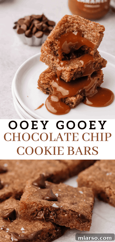 Sweet Tomatoes' Homestyle Chocolate Chip Bars 13 Delicious chocolate chip cookie bars with a delicate caramel drizzle, perfect for sharing