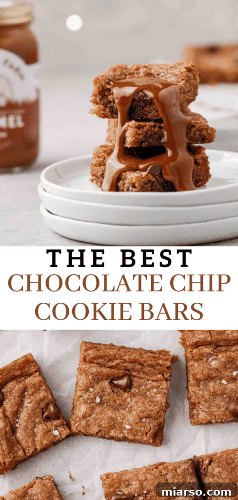 Sweet Tomatoes' Homestyle Chocolate Chip Bars 14 Golden-brown chocolate chip cookie bars with luscious caramel, a perfect treat