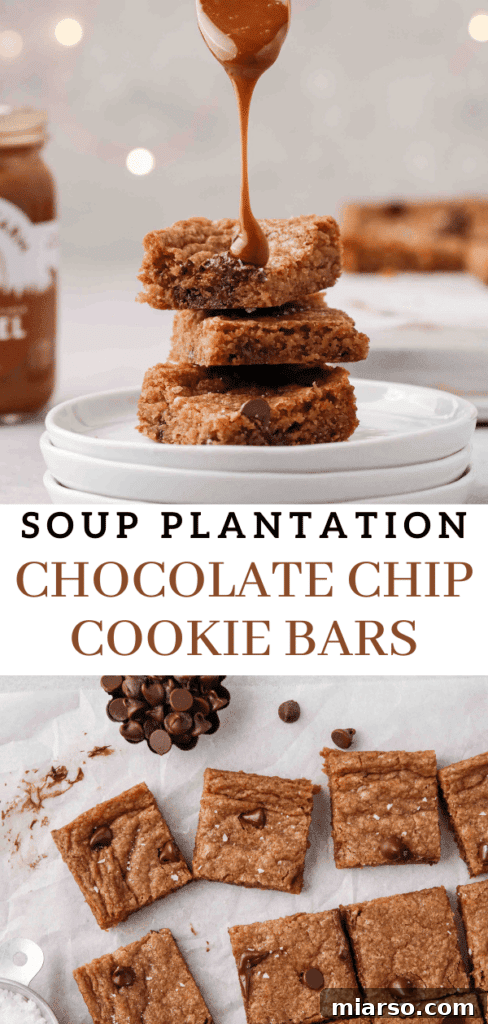 Sweet Tomatoes' Homestyle Chocolate Chip Bars 15 Caramel-drizzled chocolate chip cookie bars, showcasing a rich and inviting texture