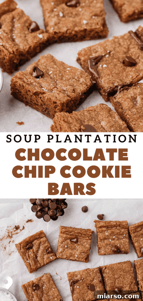 Sweet Tomatoes' Homestyle Chocolate Chip Bars 17 Homemade Soup Plantation chocolate chip cookie bars, capturing their iconic look