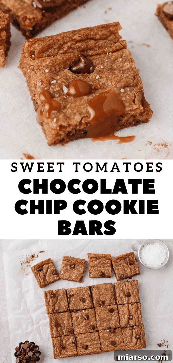Sweet Tomatoes' Homestyle Chocolate Chip Bars 19 An appetizing image of chocolate chip cookie bars, perfect for pinning on Pinterest