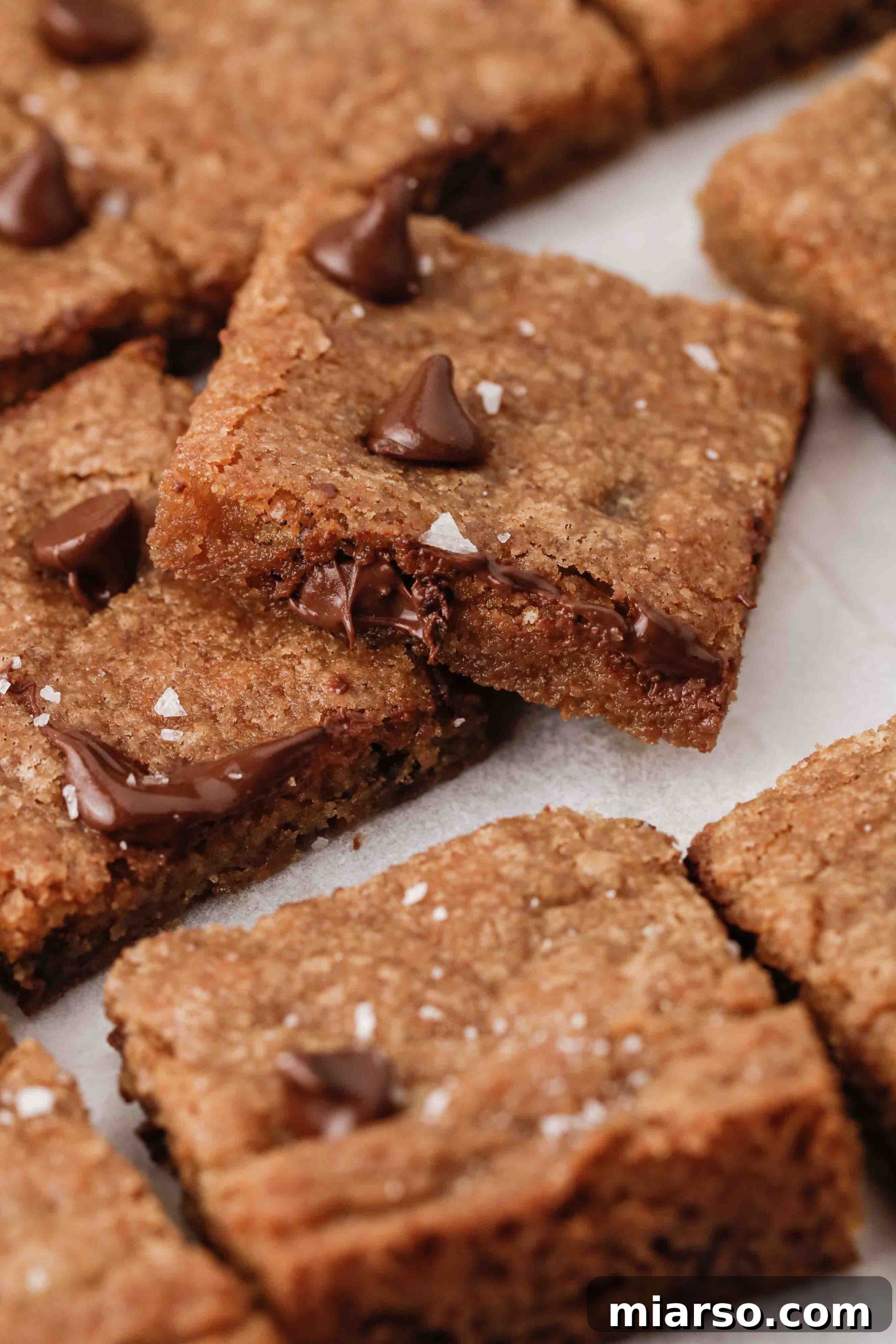 Sweet Tomatoes' Homestyle Chocolate Chip Bars 6 Authentic Soup Plantation chocolate chip cookie bars, showcasing their classic look and delicious texture