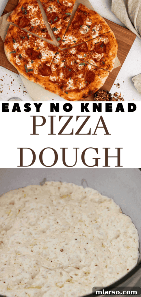 Pinterest pizza dough guide, showing the risen dough.