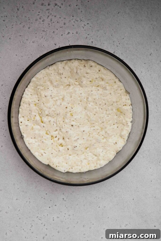 No-knead pizza dough after rising, doubled in volume and ready for shaping.