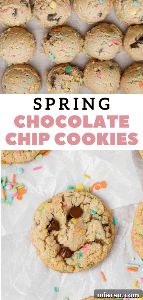 A festive plate of Easter chocolate chip cookies