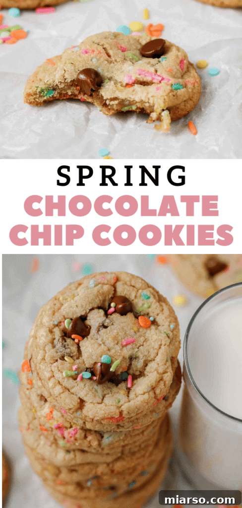 Easter chocolate chip cookies, close-up view