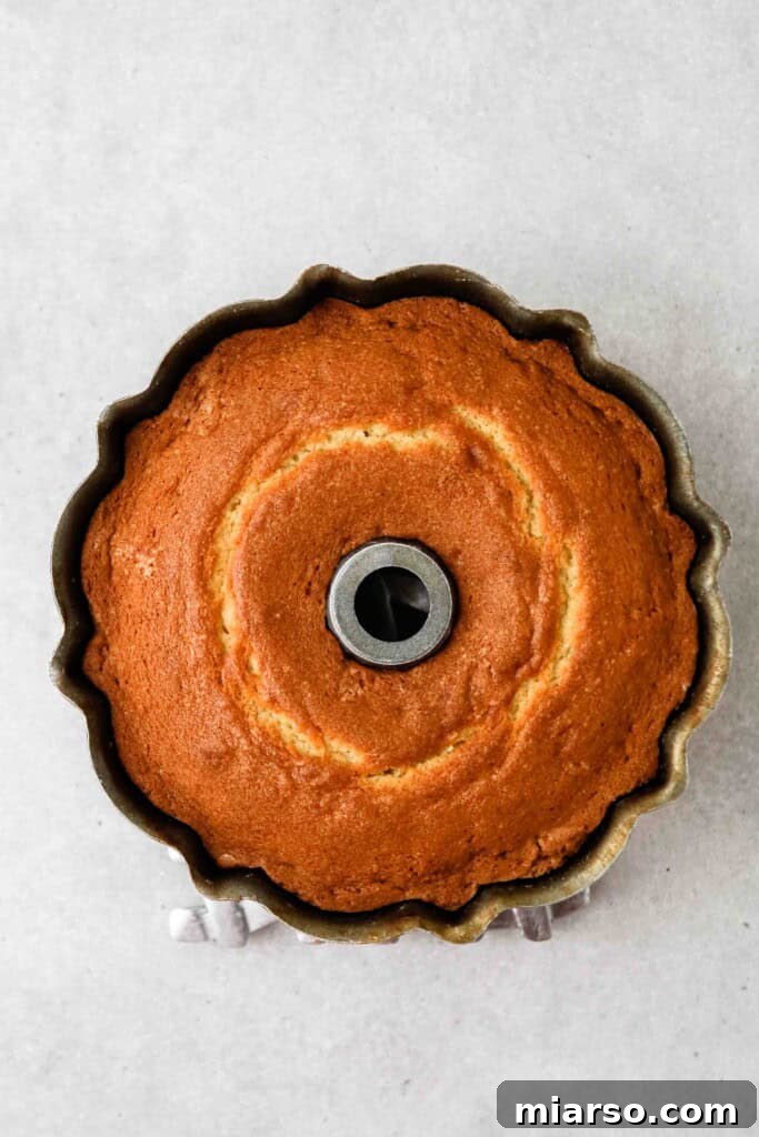 Velvety Vanilla Bundt Perfection 12 Baked bundt cake overhead shot