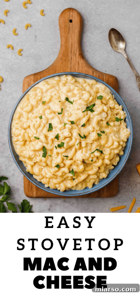 Close up of cheddar pasta
