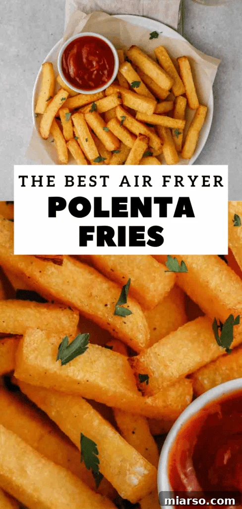 Pinterest pin showing tubed polenta recipe ideas for air fryer