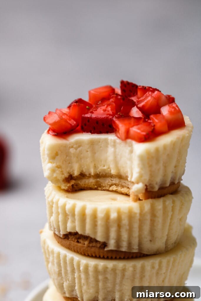 Close up shot of golden Oreo mini cheesecakes with a creamy texture