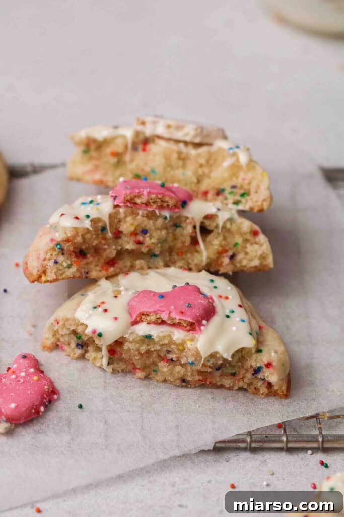 Inside texture of a circus animal sugar cookie, revealing its softness and sprinkles