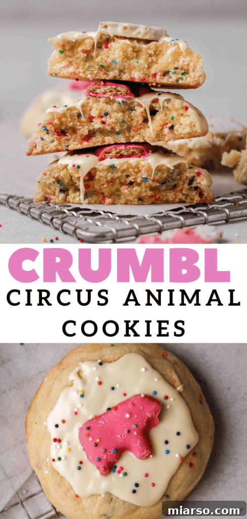 Circus animal sugar cookies with white chocolate and sprinkles