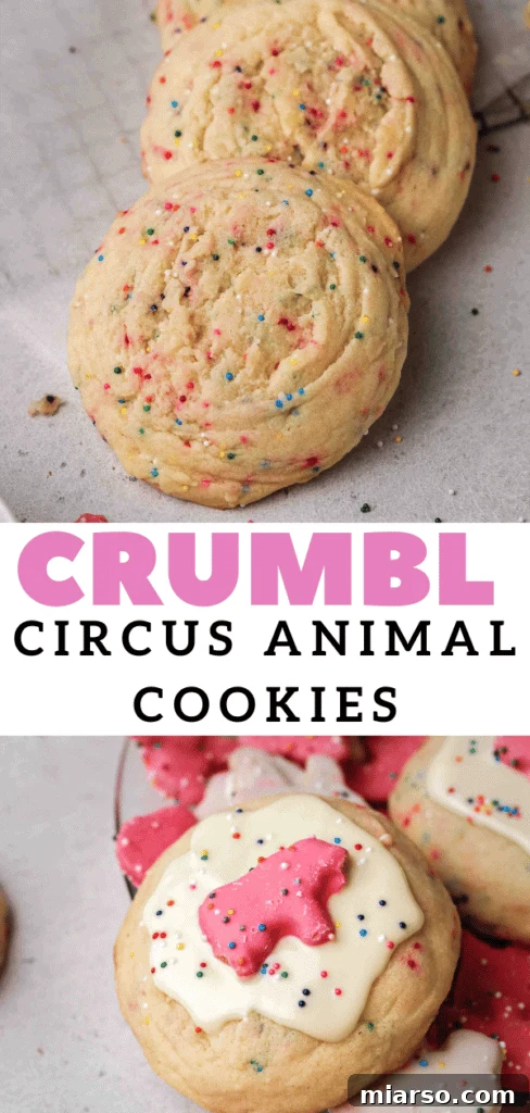 Close-up of a festive circus animal sugar cookie