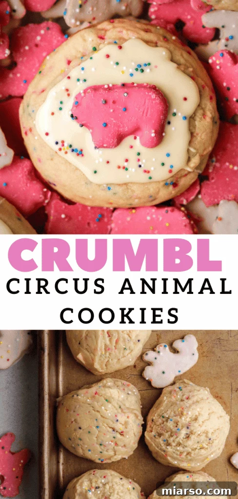 Stack of Crumbl inspired circus animal sugar cookies