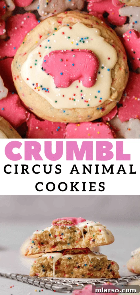 Overhead view of several frosted CRUMBL circus animal cookies