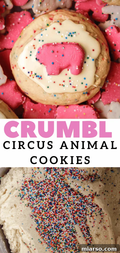 A single CRUMBL circus animal cookie with white chocolate and a festive topping