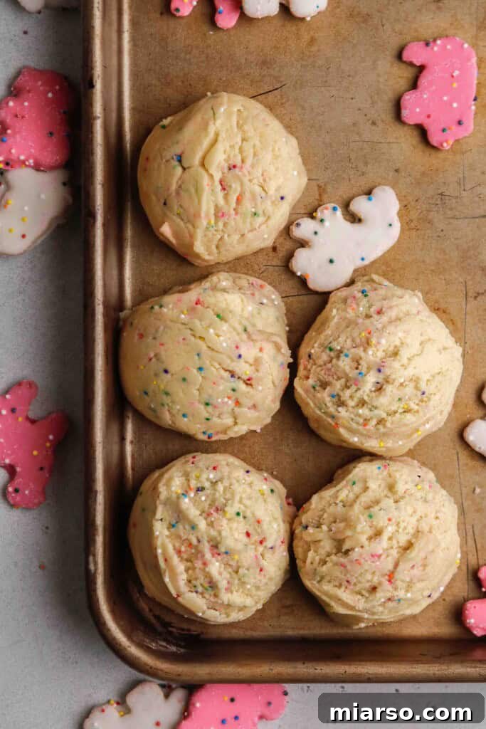 Close up of circus animal cookie dough with colorful nonpareil sprinkles mixed in