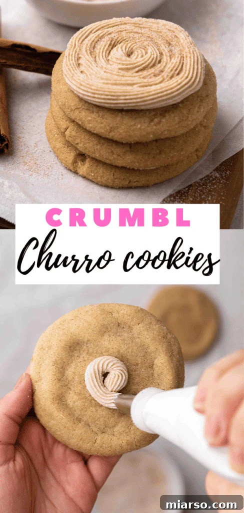 A hand piping elegant swirls of churro buttercream onto a freshly baked snickerdoodle-style cookie.