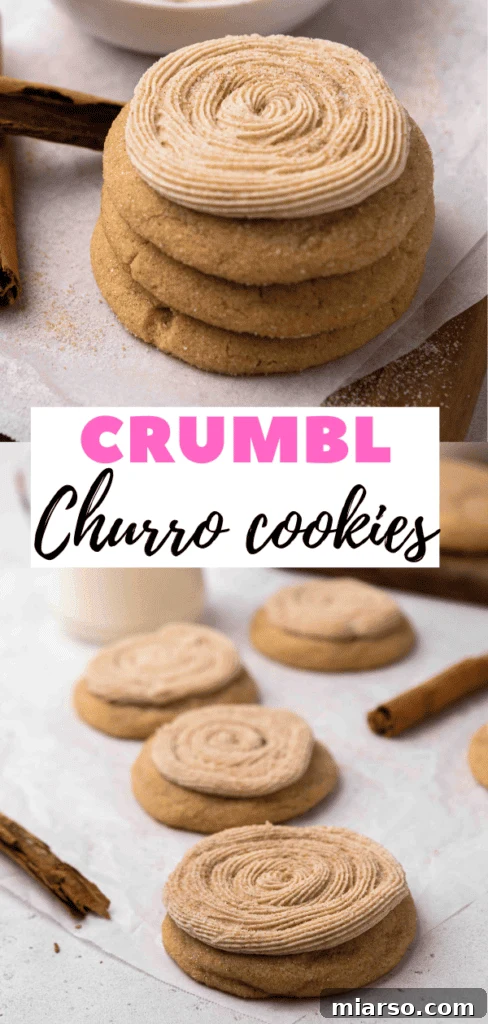 Another beautiful shot of a churro cookie, emphasizing its cinnamon sugar coating and inviting aroma.